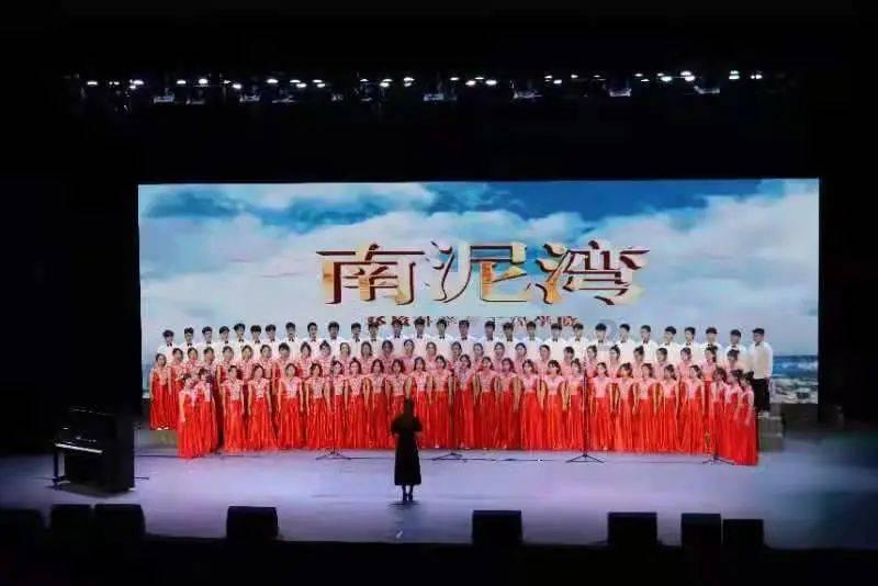 寻找迷路的松鼠